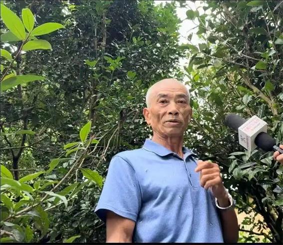 潮州市以“四個+”打好監督“組合拳” 守護鳳凰山“高顏值”生態綠