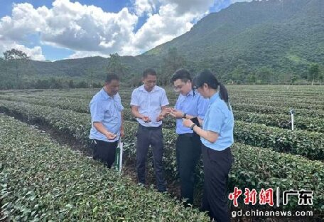 金融賦能產(chǎn)業(yè)發(fā)展 助汕尾推動“百千萬工程”